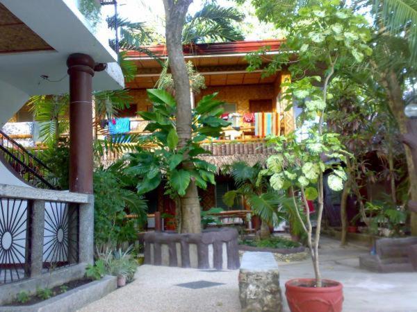 Love'S Beach & Dive Resort Moalboal Εξωτερικό φωτογραφία