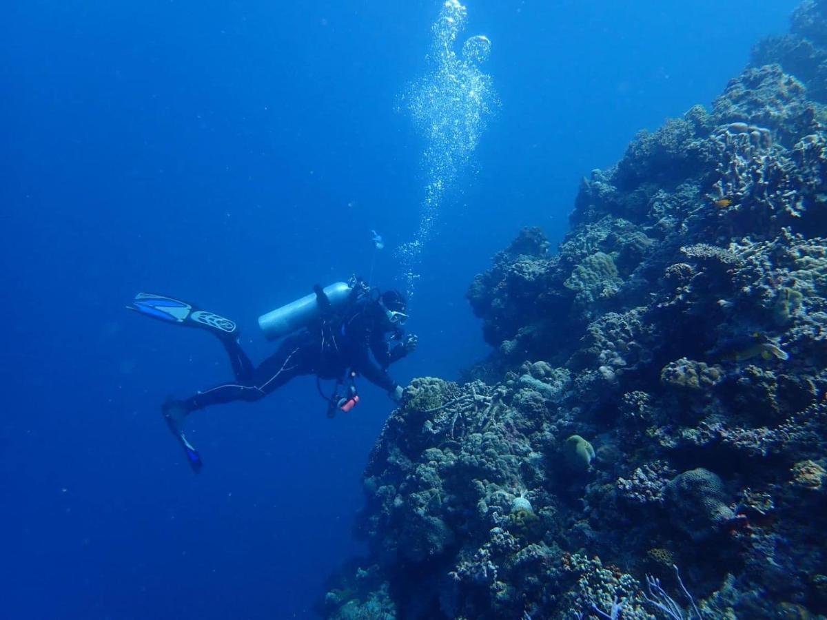 Love'S Beach & Dive Resort Moalboal Εξωτερικό φωτογραφία