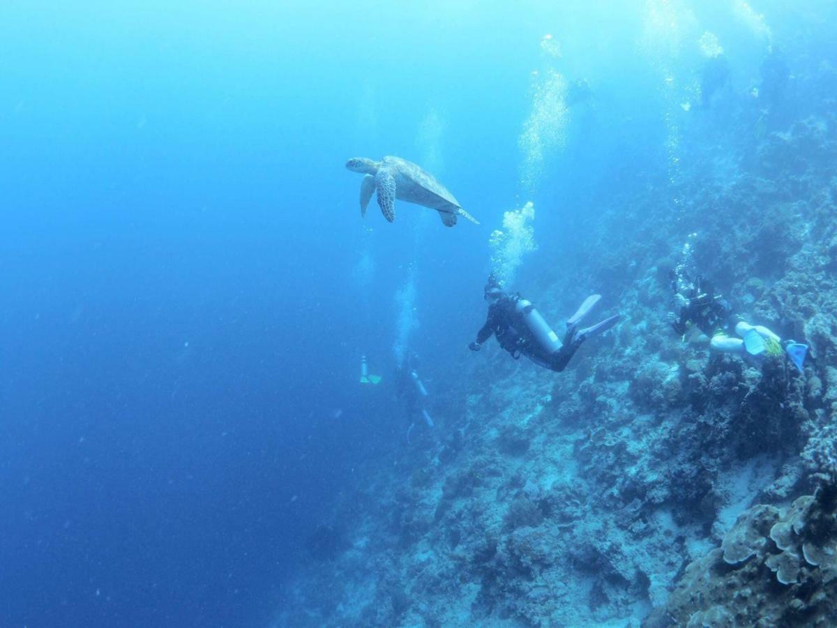 Love'S Beach & Dive Resort Moalboal Εξωτερικό φωτογραφία