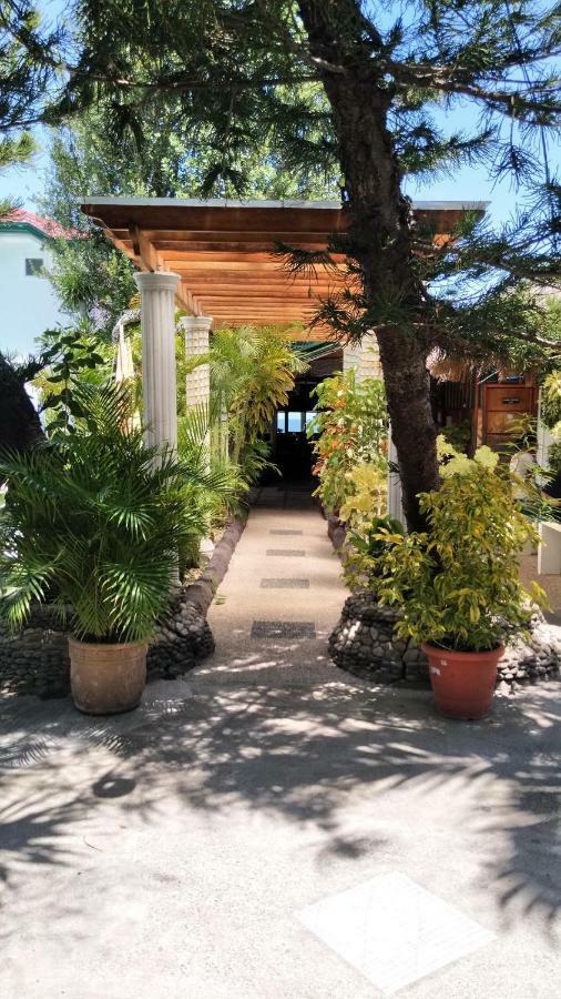 Love'S Beach & Dive Resort Moalboal Εξωτερικό φωτογραφία